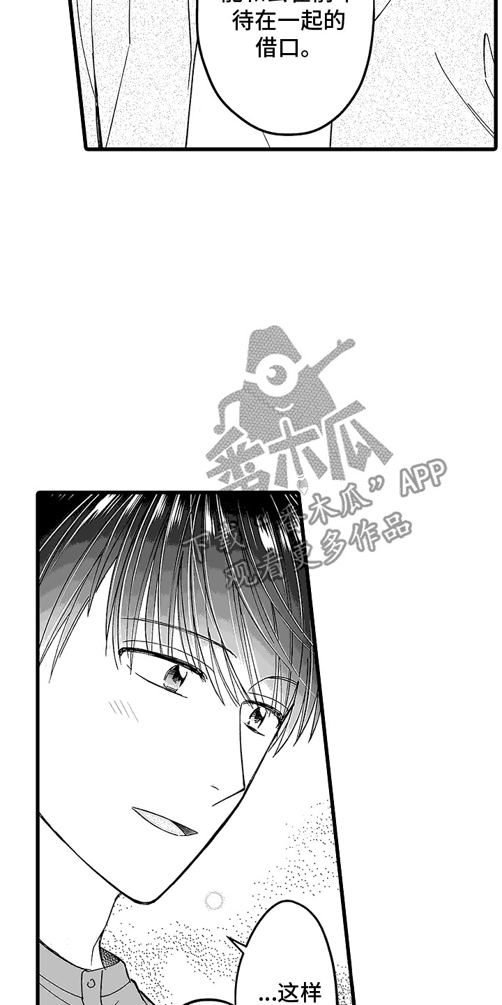 17.jpg