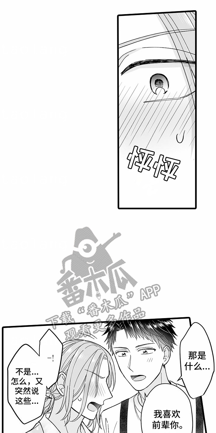 14.jpg