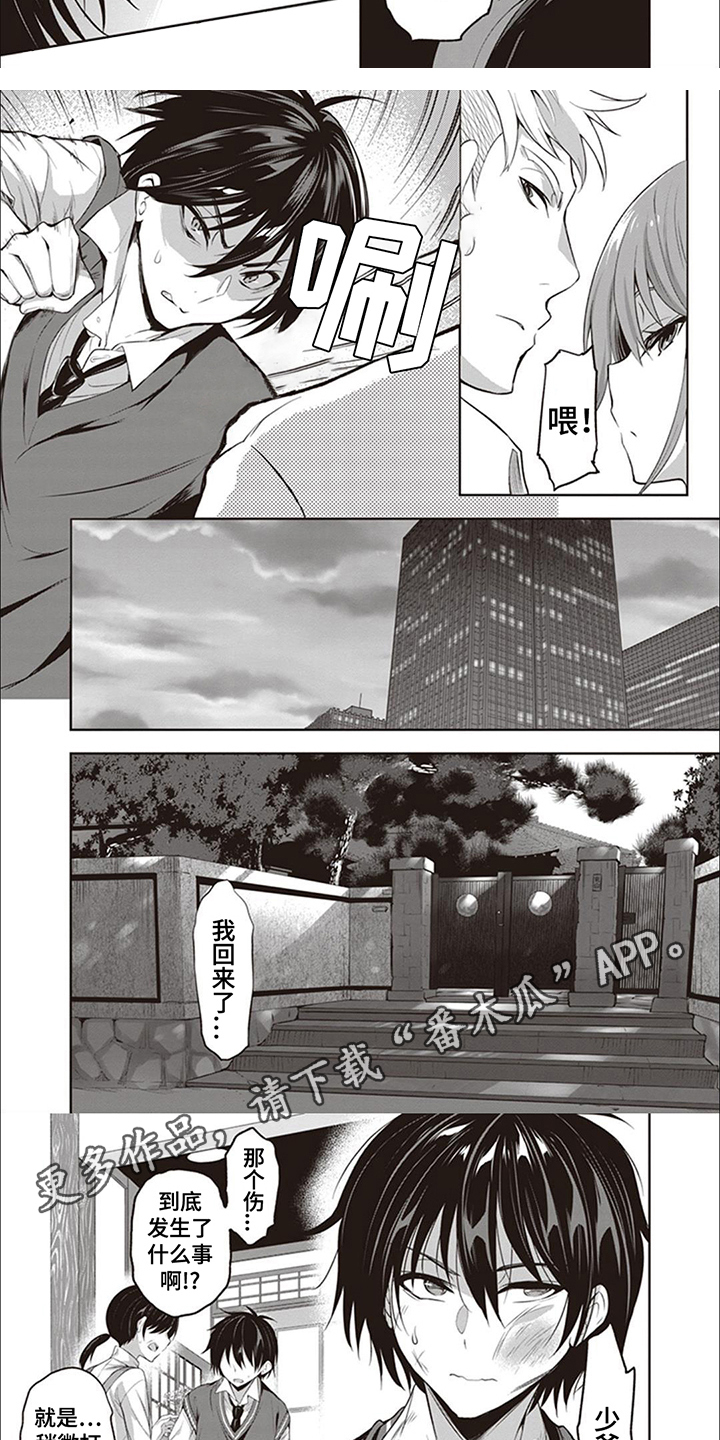 4.jpg