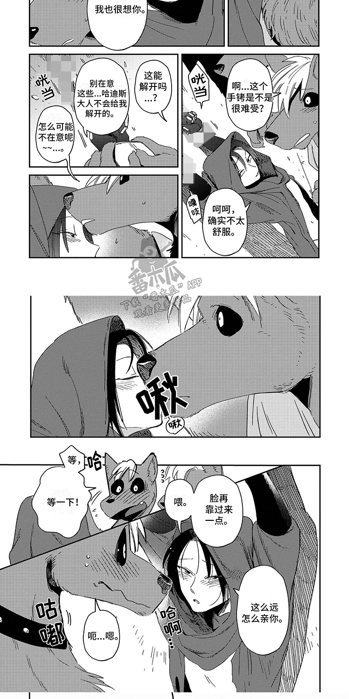 8.jpg