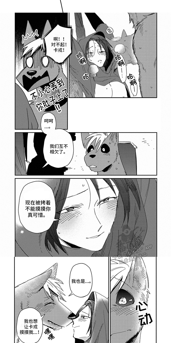 5.jpg