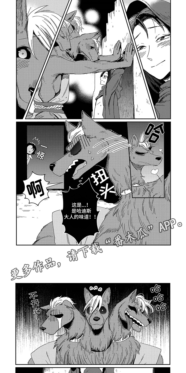 7.jpg