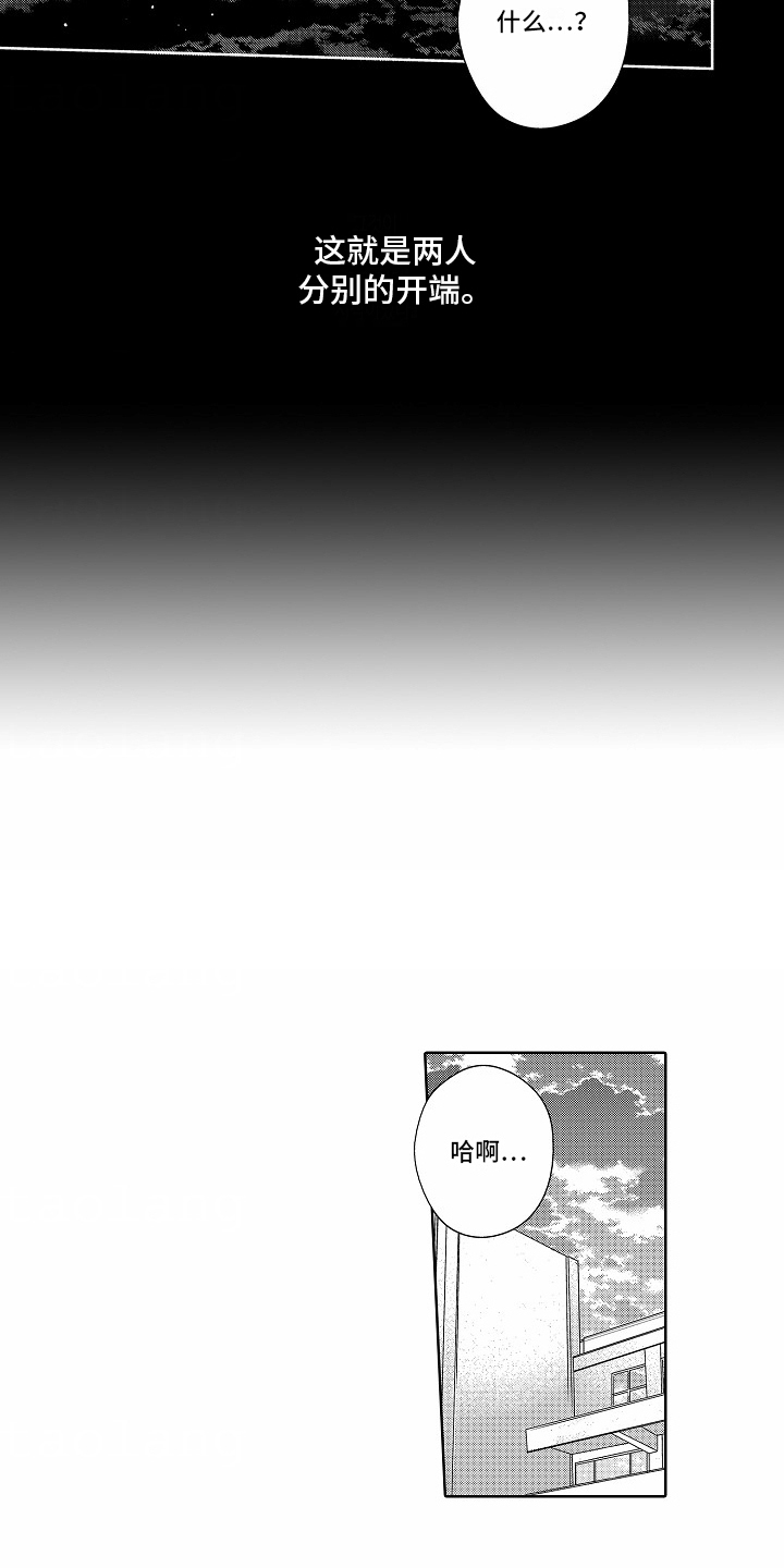 14.jpg