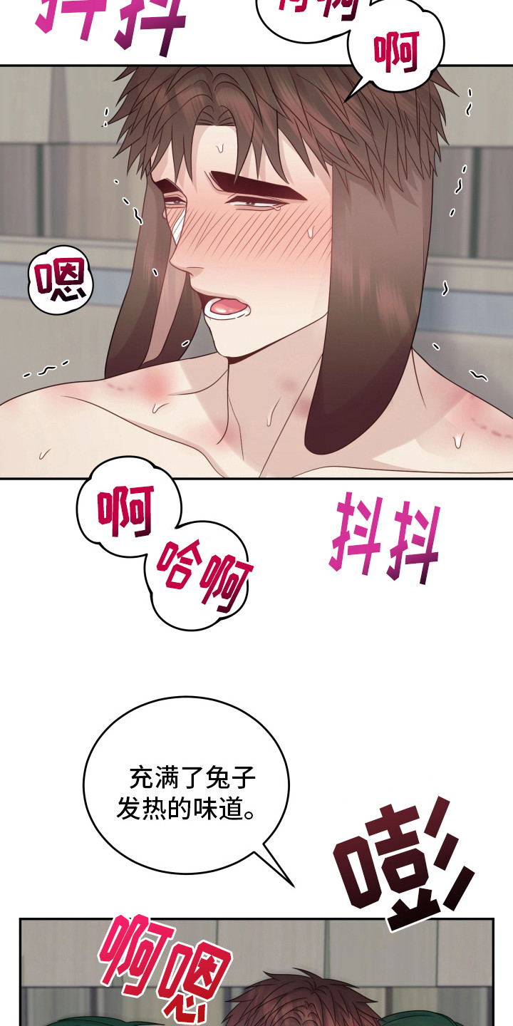 23.jpg