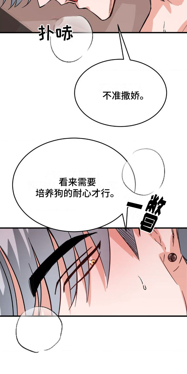 20.jpg