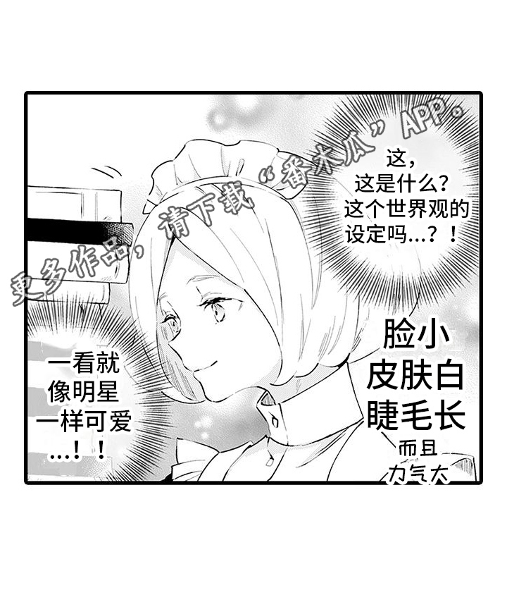 19.jpg