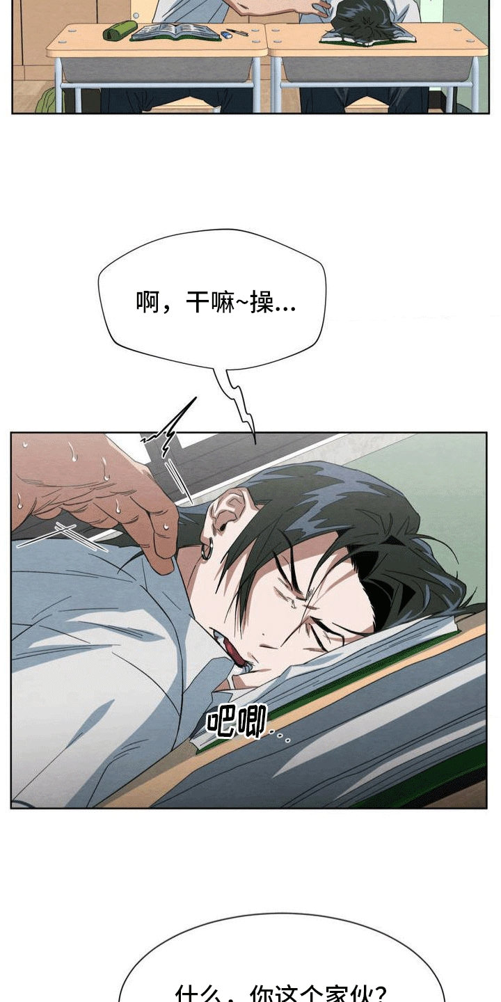 26.jpg