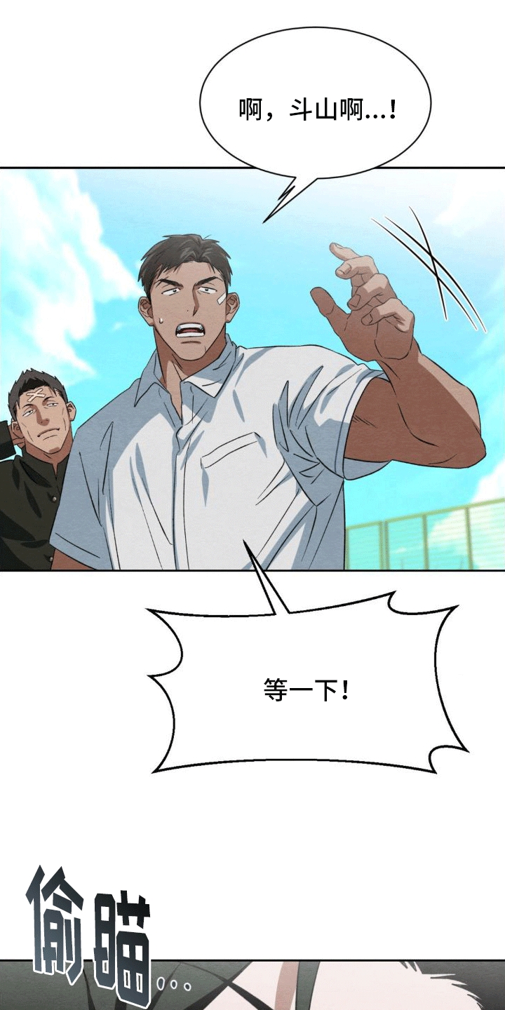 11.jpg