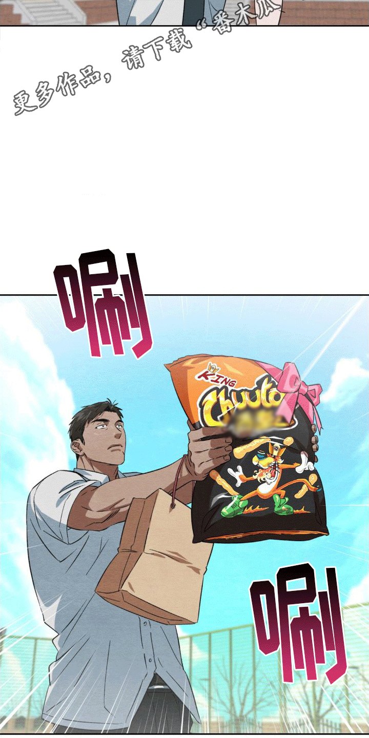 13.jpg