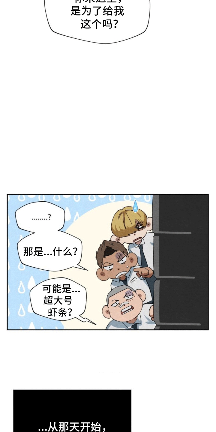 15.jpg