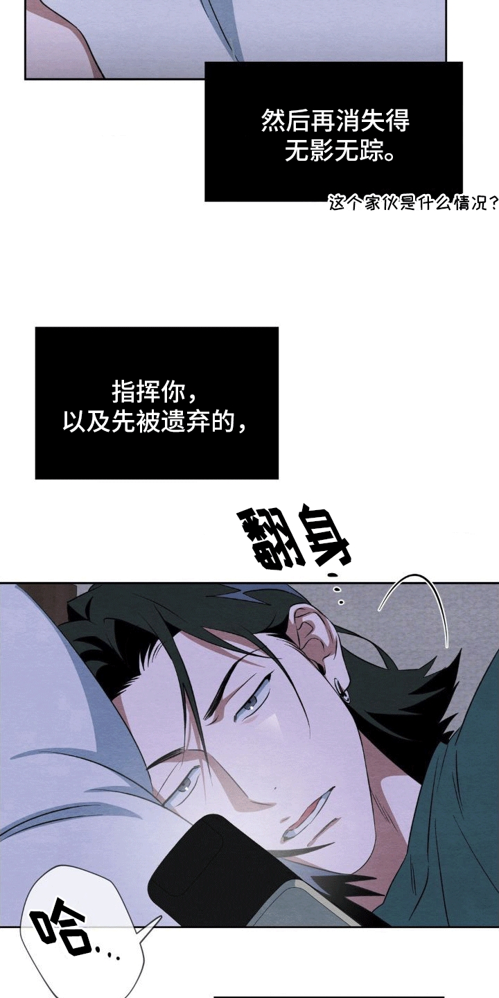 31.jpg