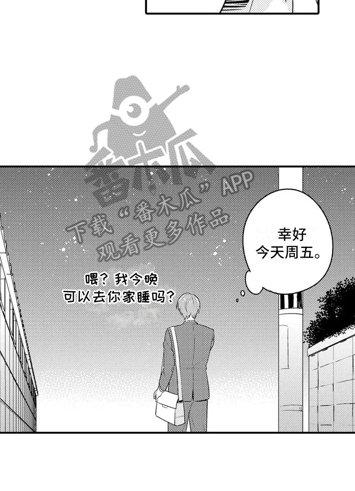 11.jpg