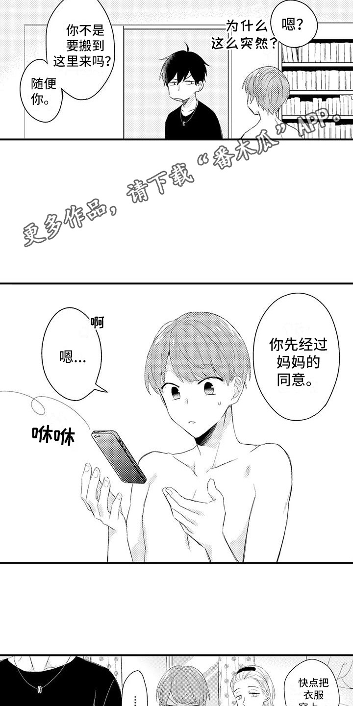 11.jpg