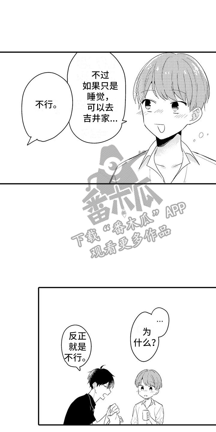 17.jpg