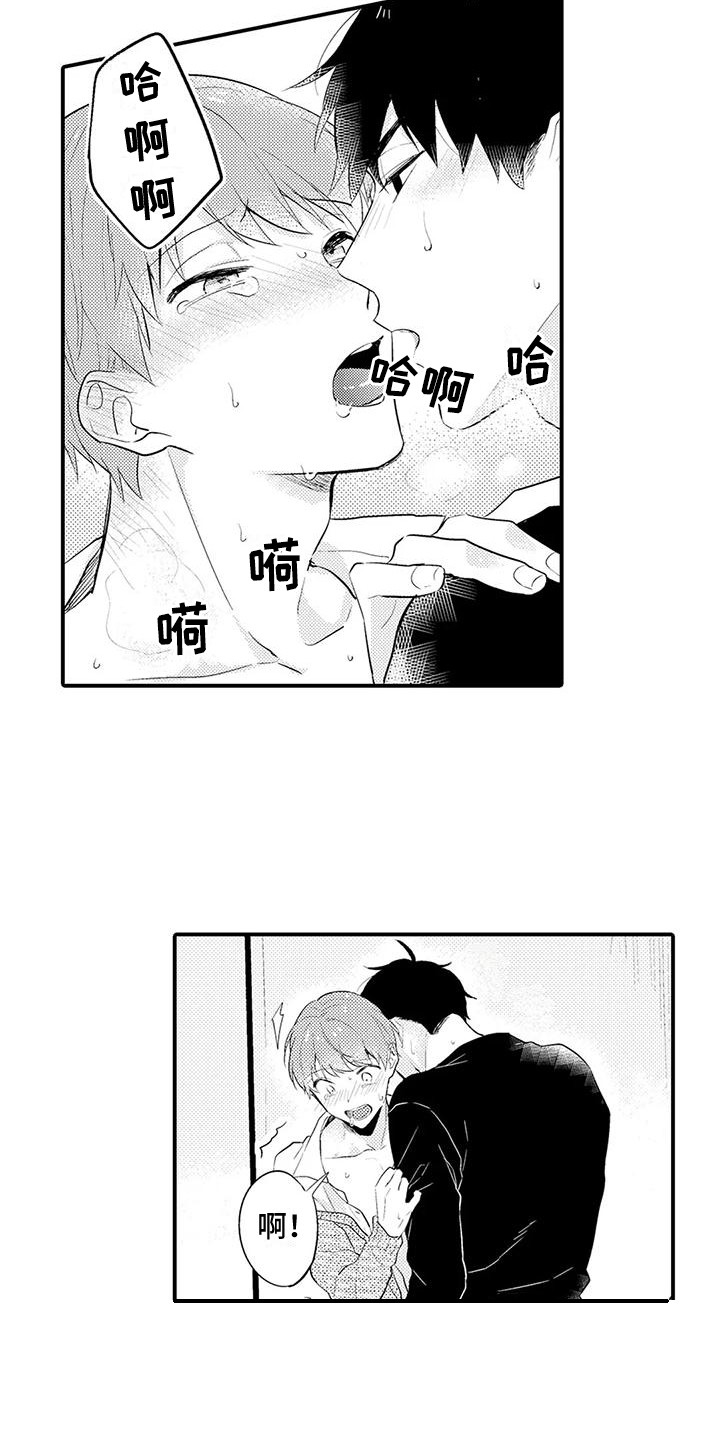 19.jpg