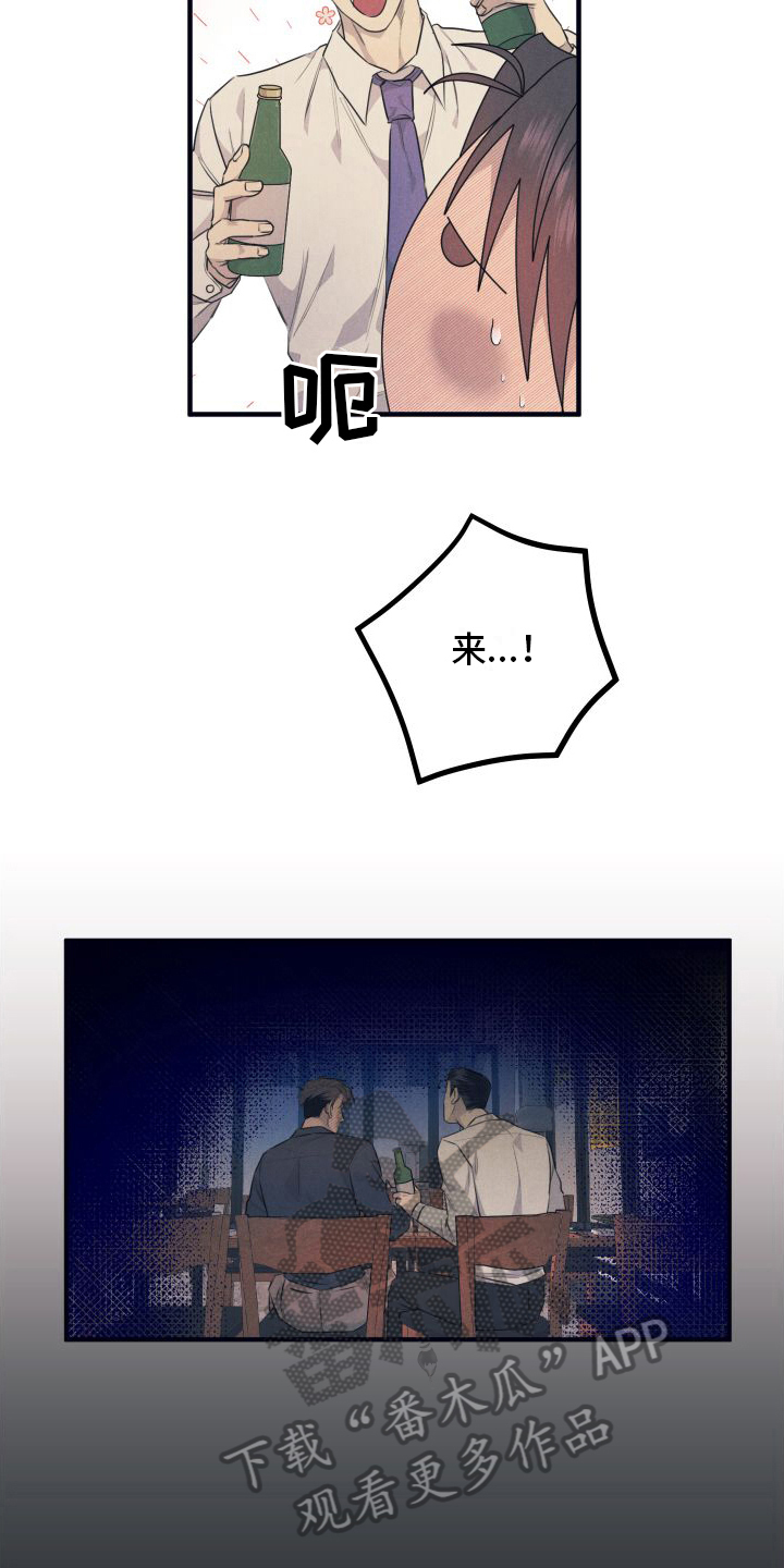 15.jpg