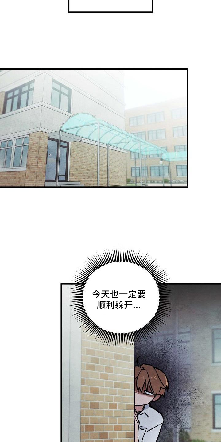 12.jpg