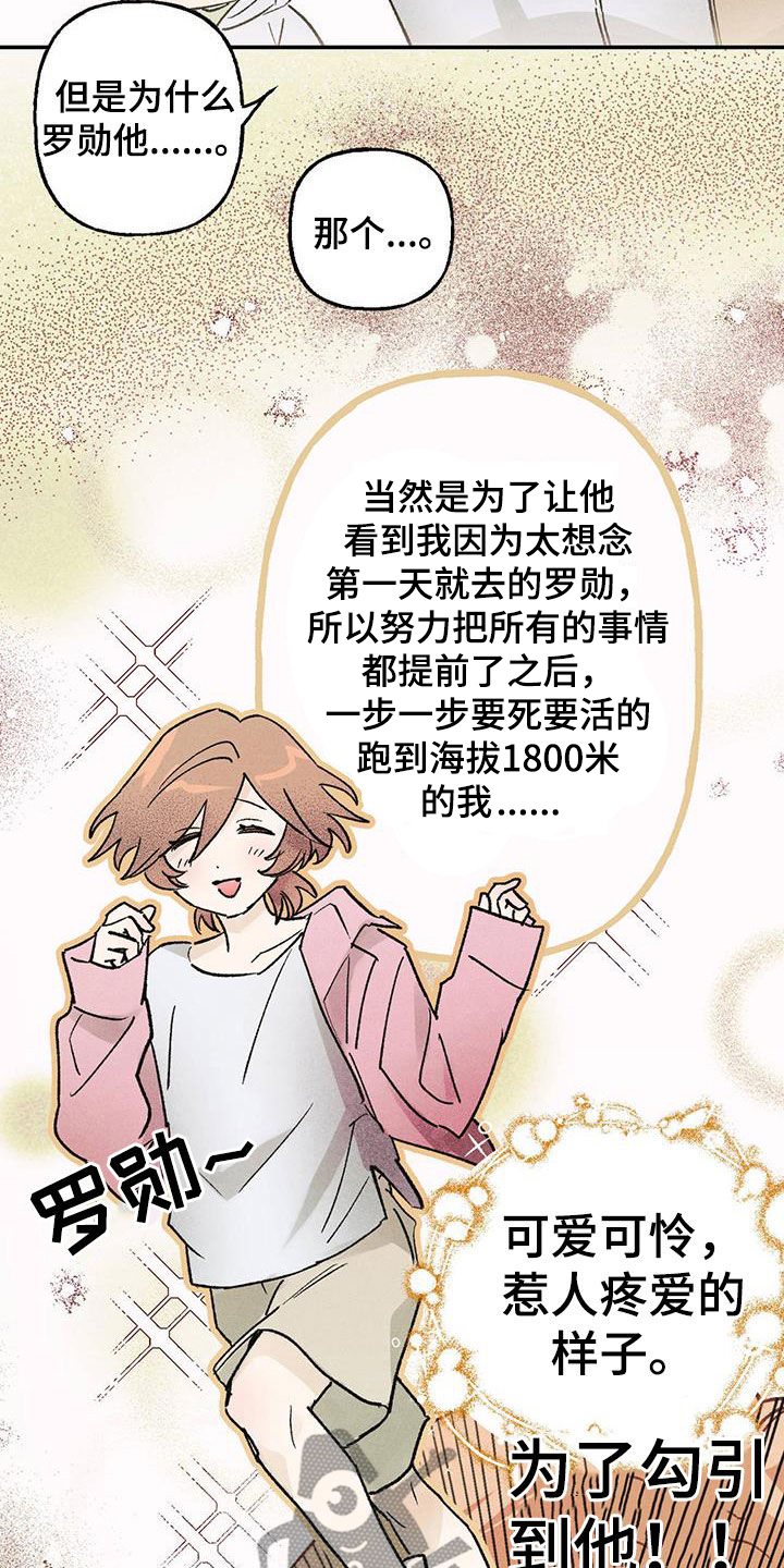 21.jpg