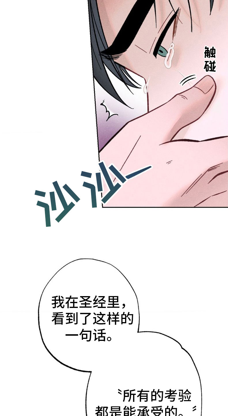 26.jpg