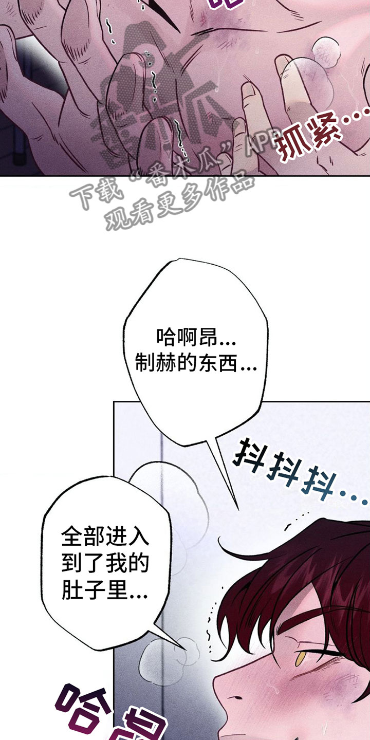 14.jpg