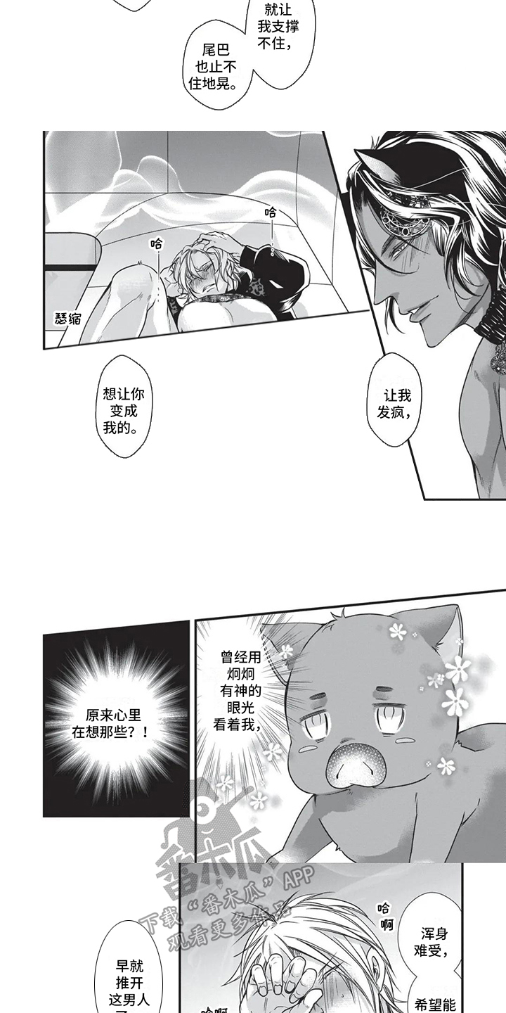 5.jpg