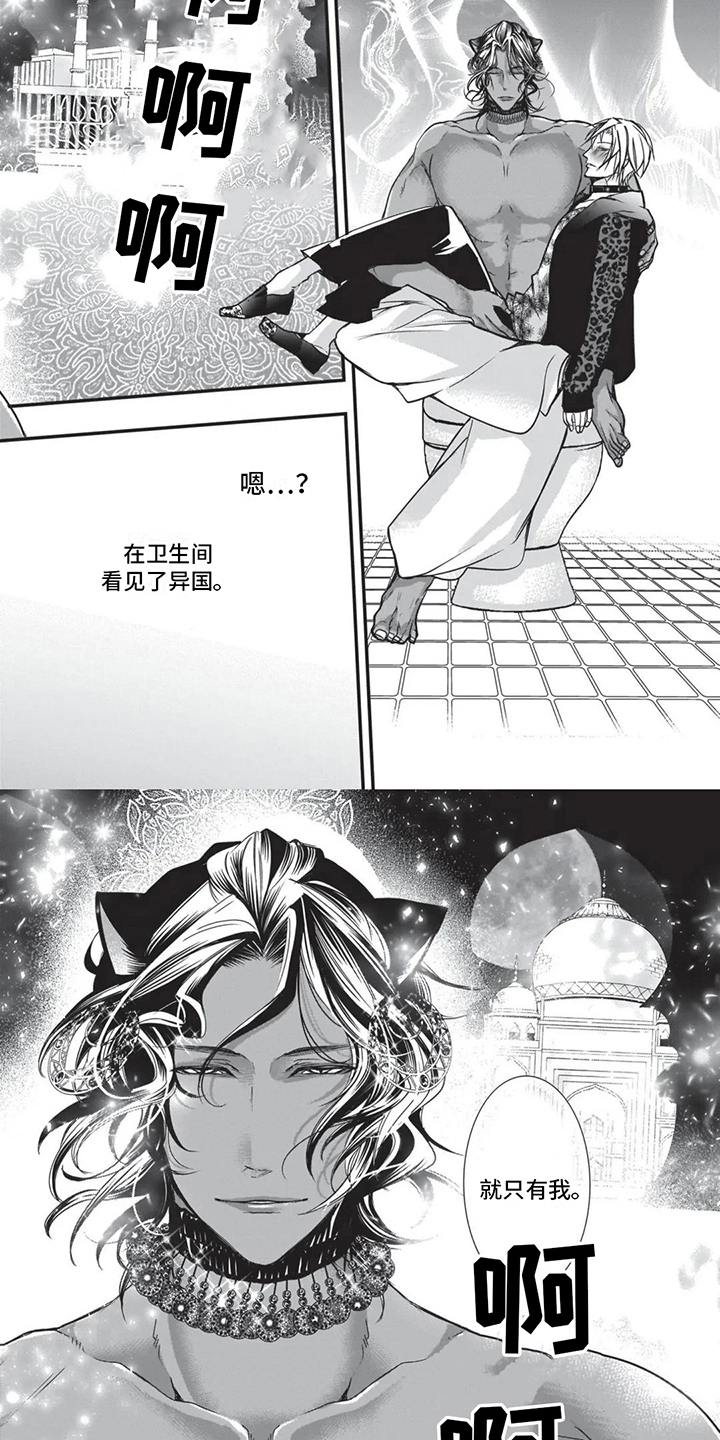 6.jpg