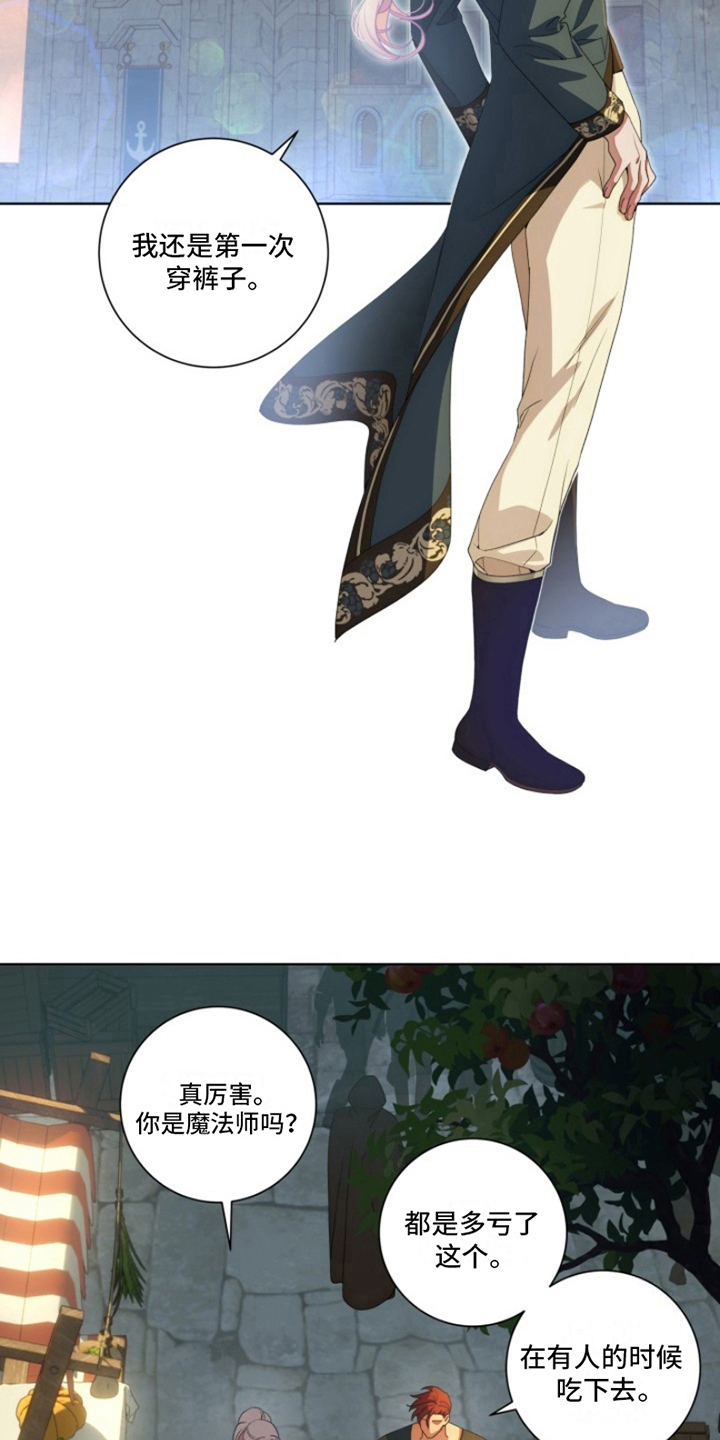 5.jpg