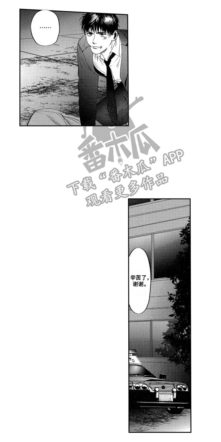 12.jpg