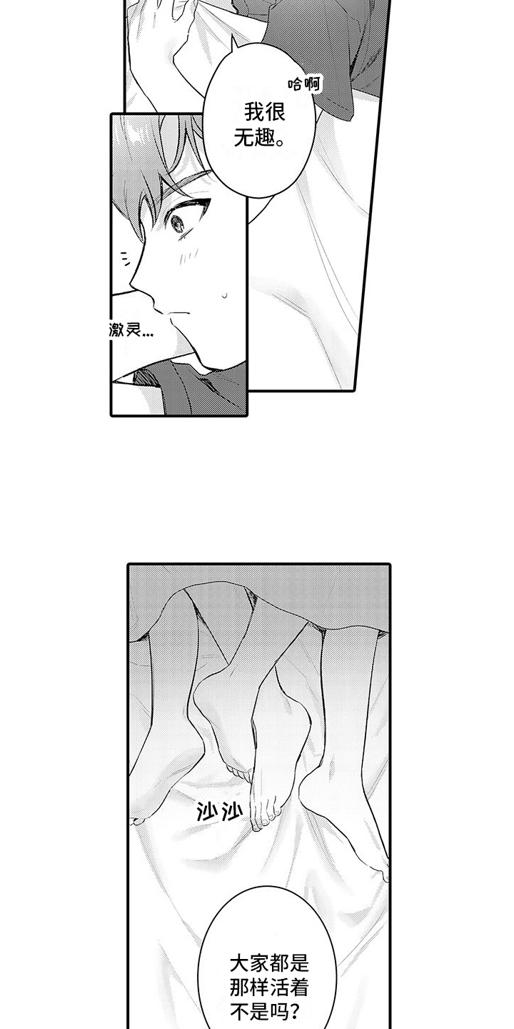 11.jpg