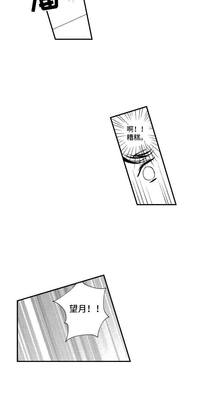 15.jpg
