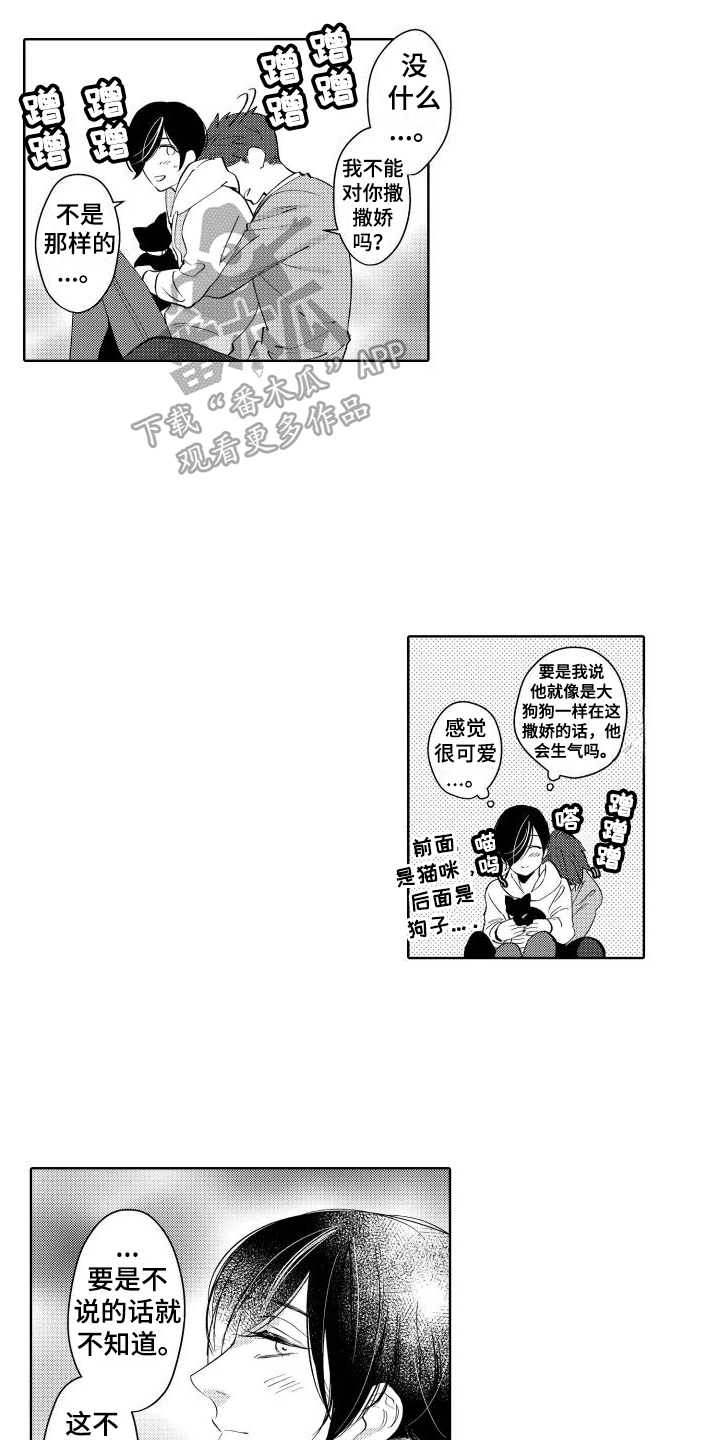 12.jpg