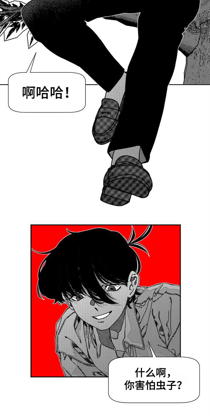 11.jpg