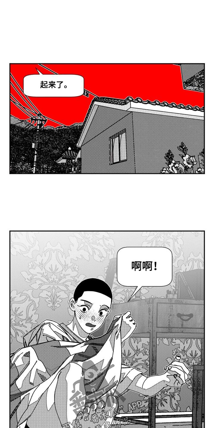 13.jpg