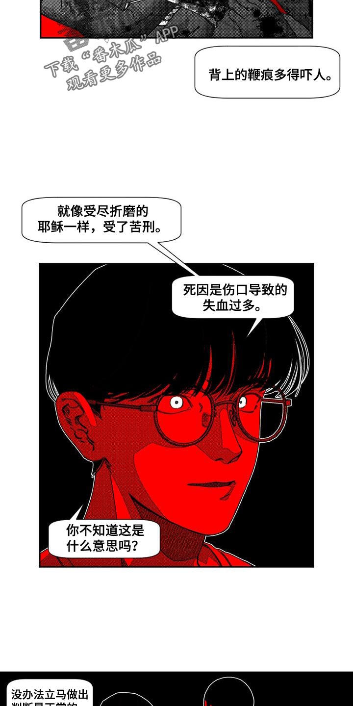 13.jpg