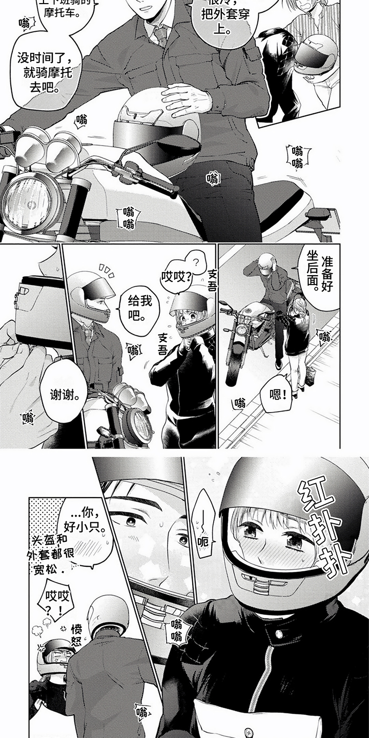 4.jpg