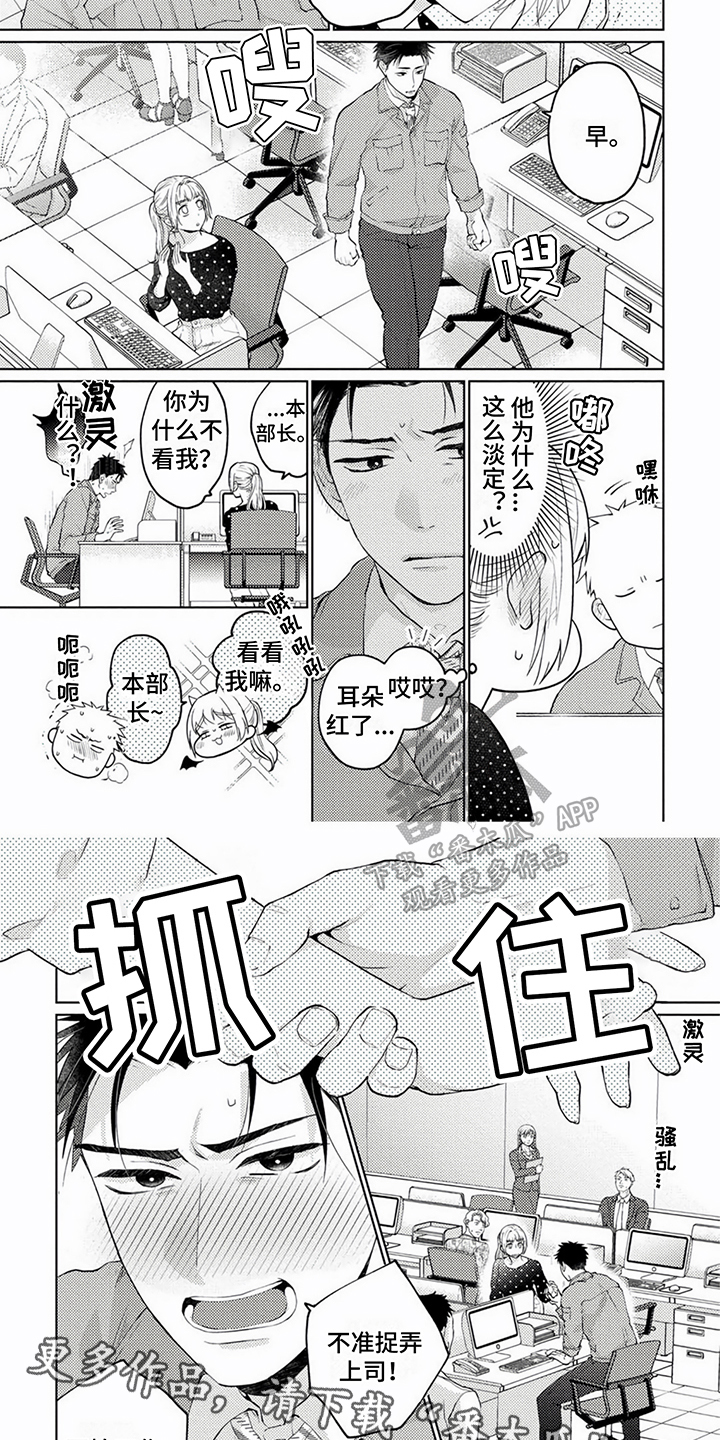 6.jpg