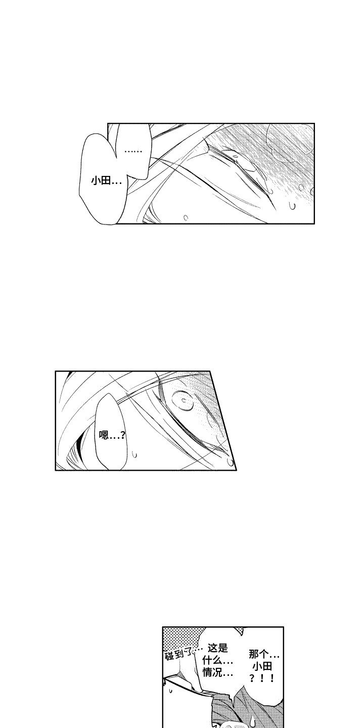 5.jpg