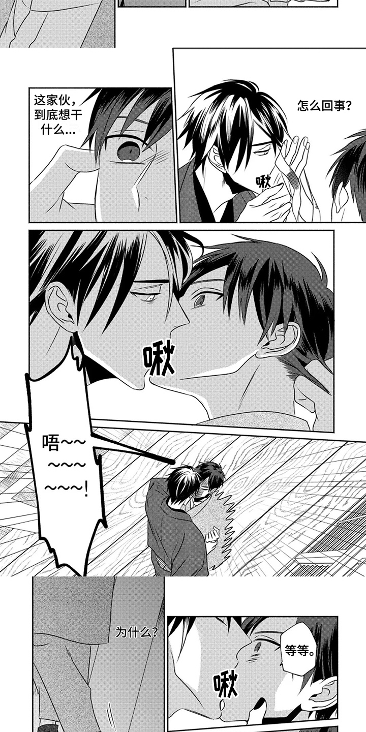 6.jpg
