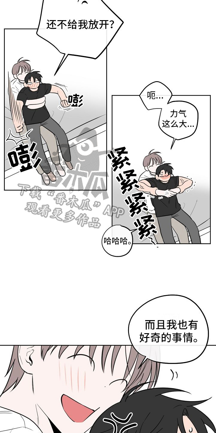 15.jpg