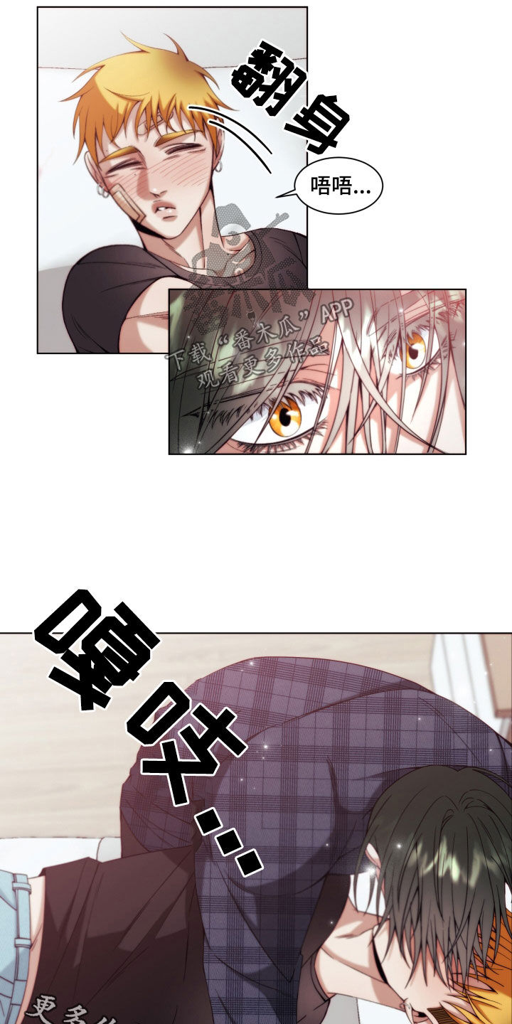 26.jpg