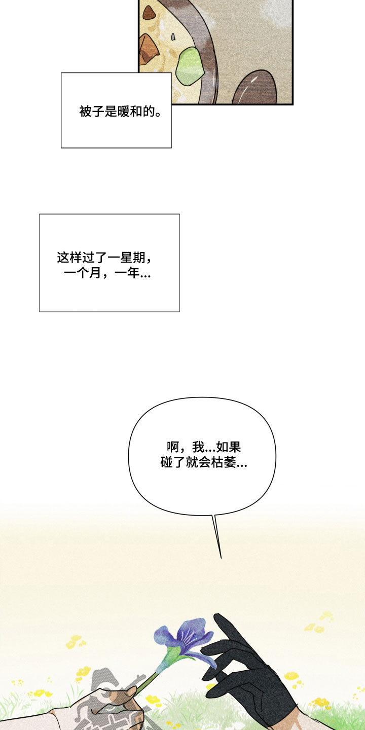 20.jpg