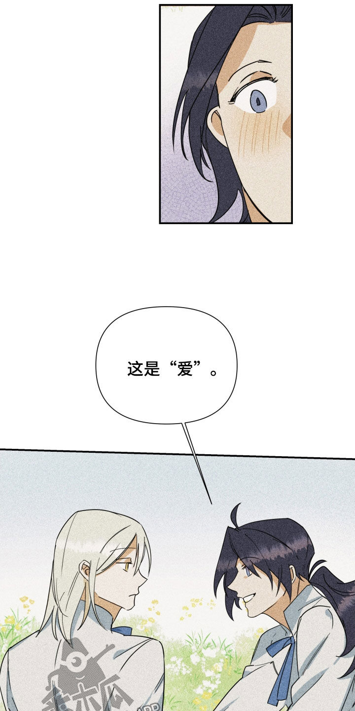 24.jpg