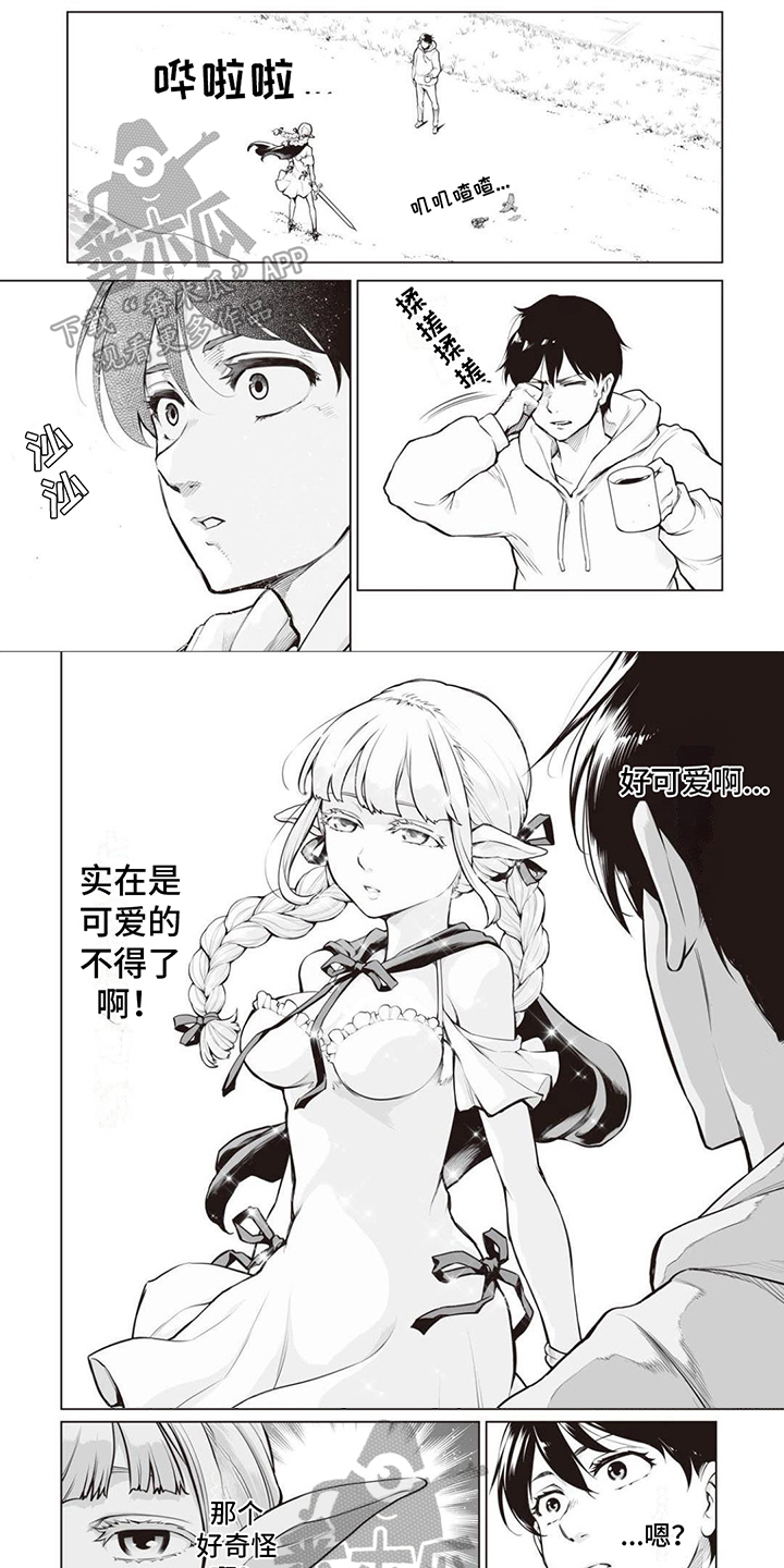 1.jpg