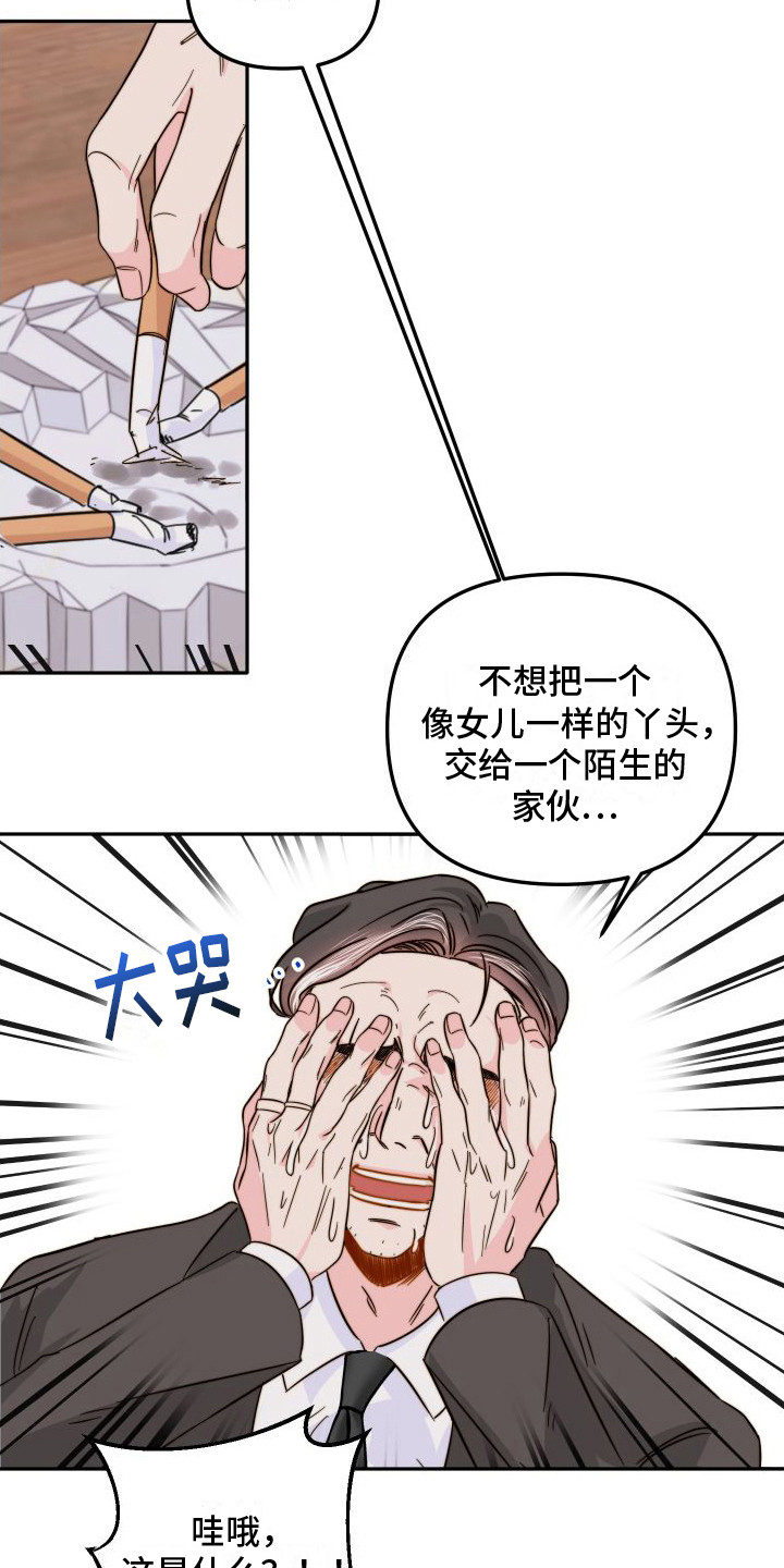 13.jpg