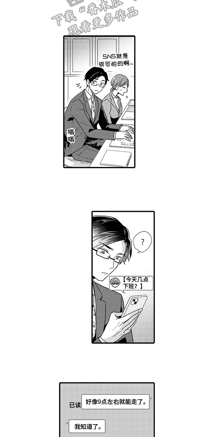 6.jpg