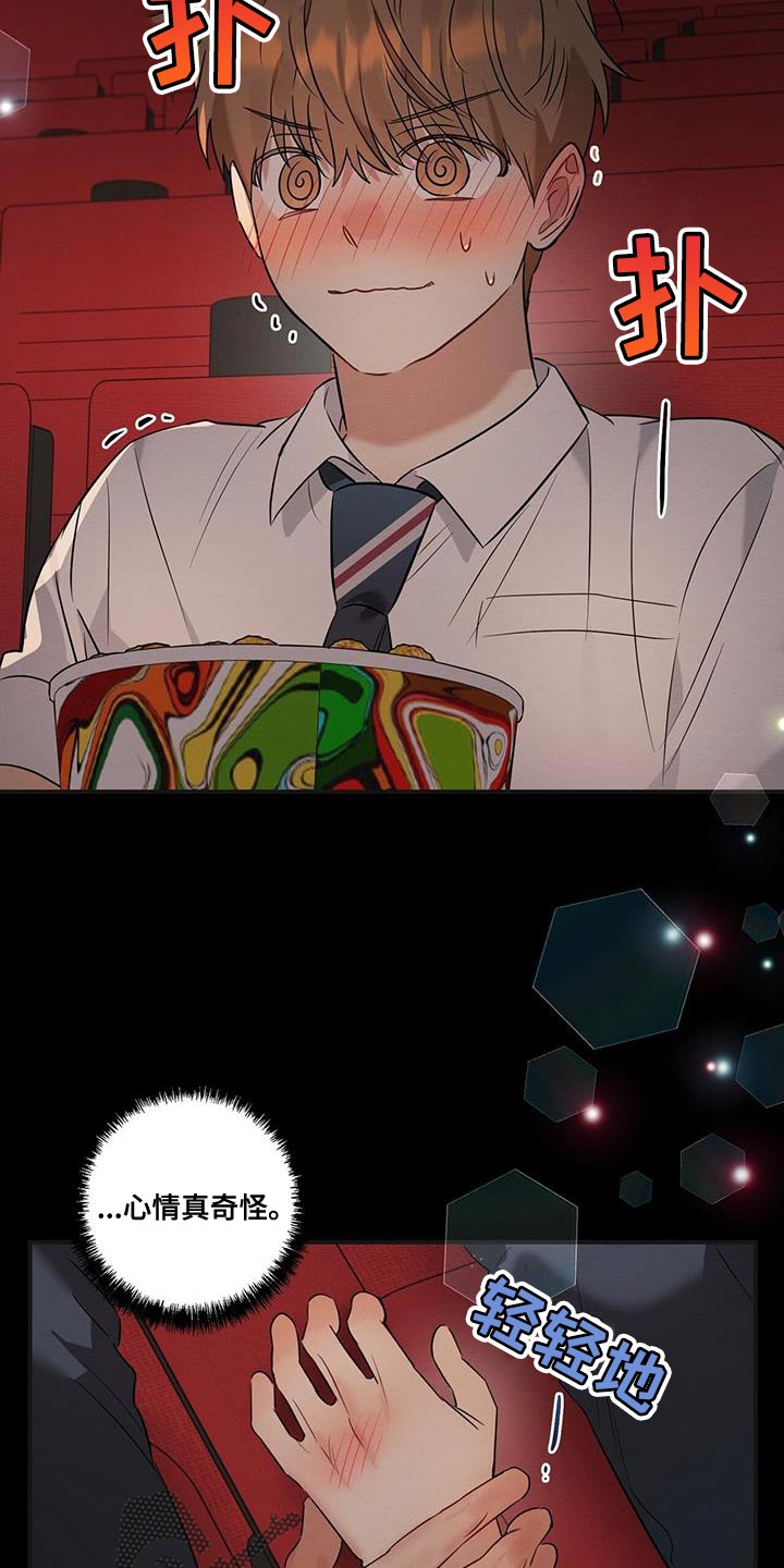 17.jpg
