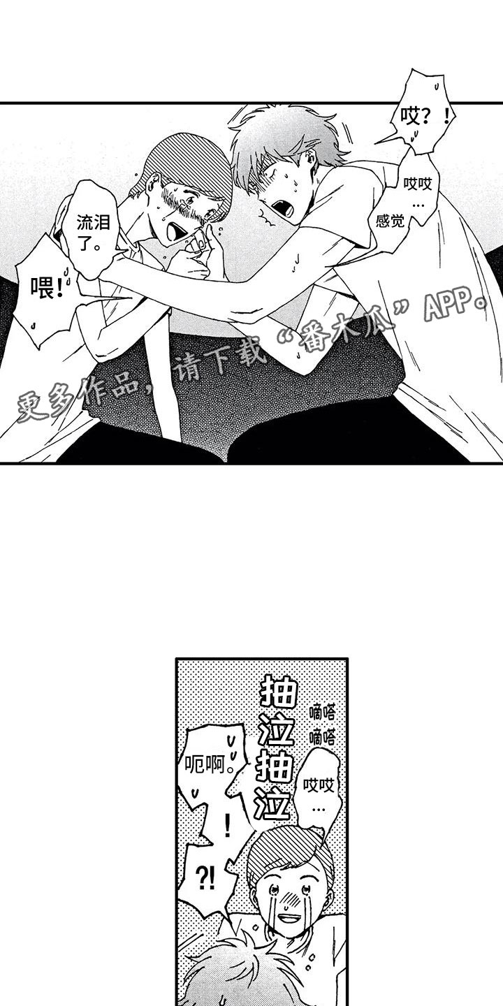 1.jpg