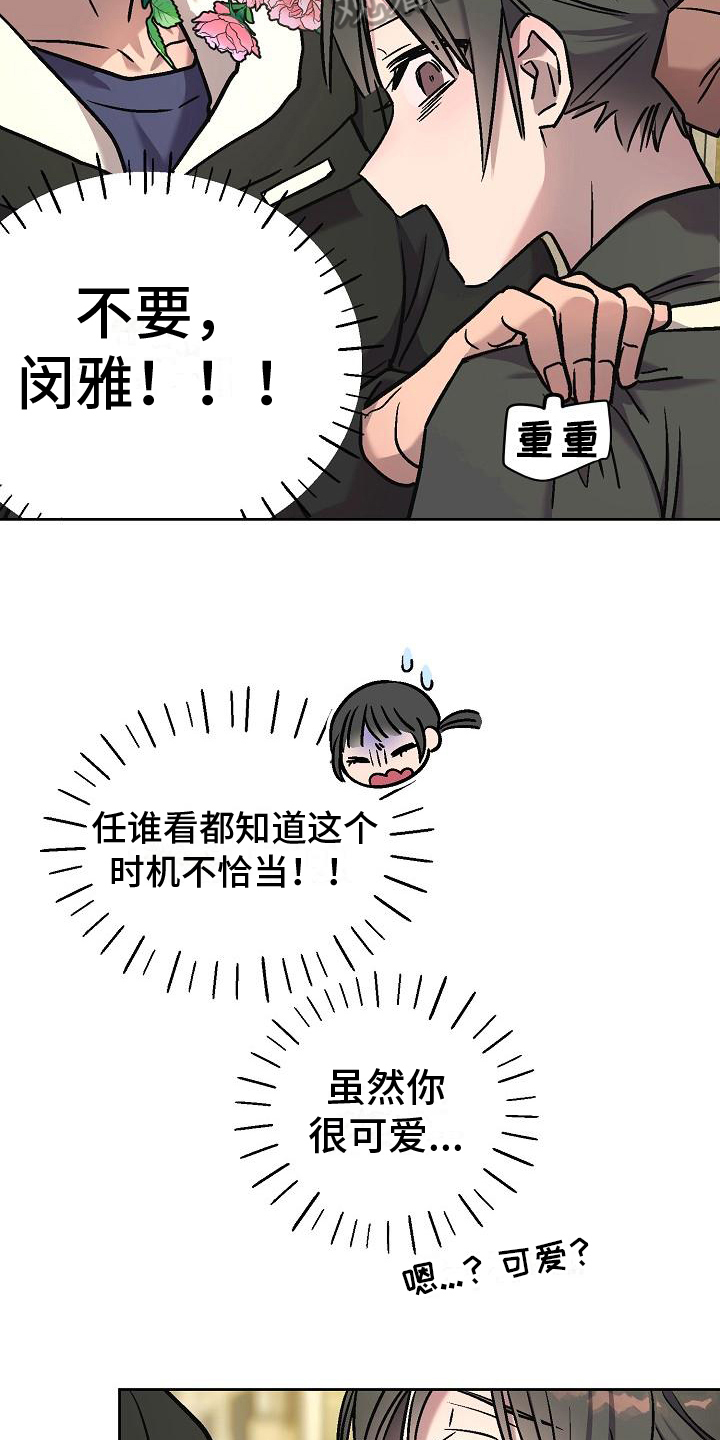 17.jpg