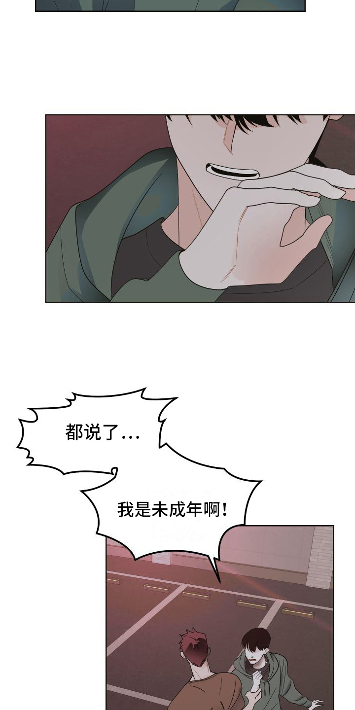 17.jpg