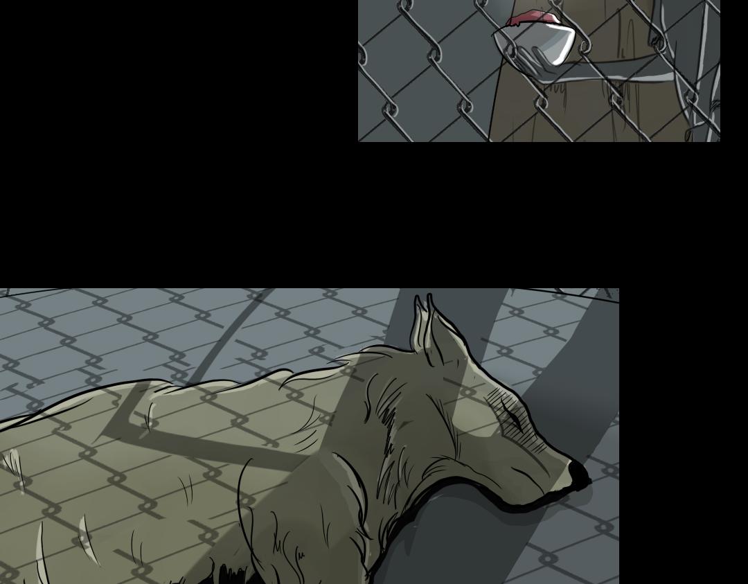 34.jpg